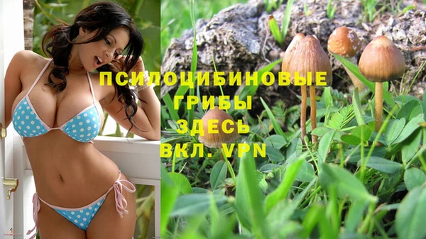 наркотики Белокуриха