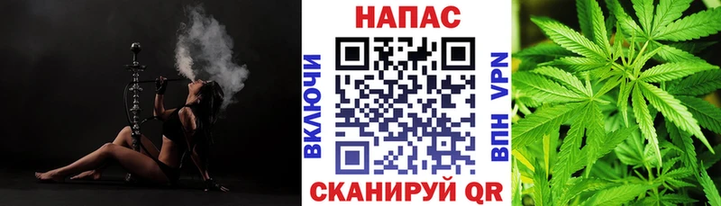 что такое   Соль-Илецк  Марихуана SATIVA & INDICA 